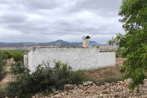 Landejendom i Caudete, Albacete, Caudete - € 39.000 | Ref: SF0580 - foto 13